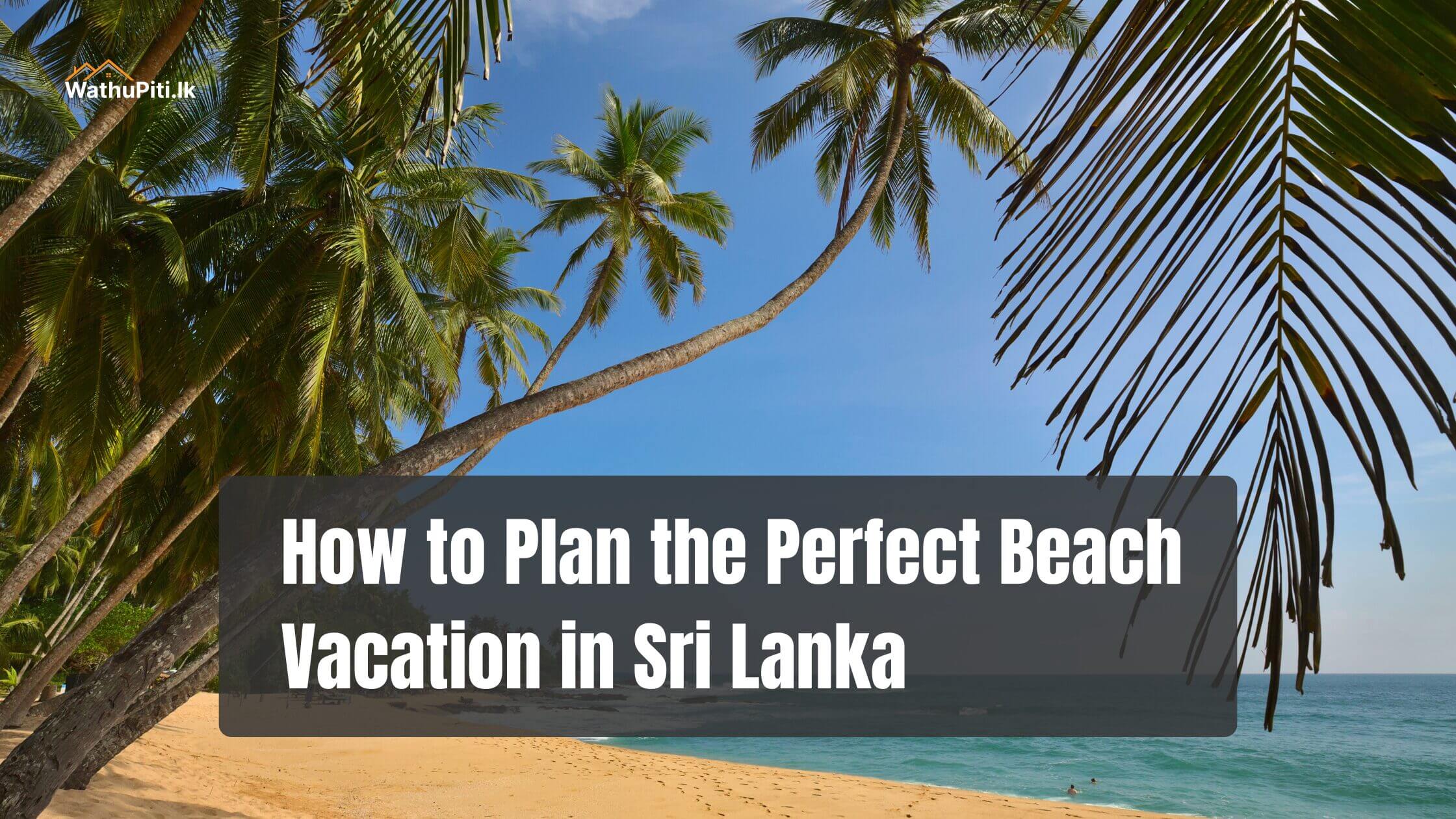 How to Plan the Perfect Beach Vacation in Sri Lanka