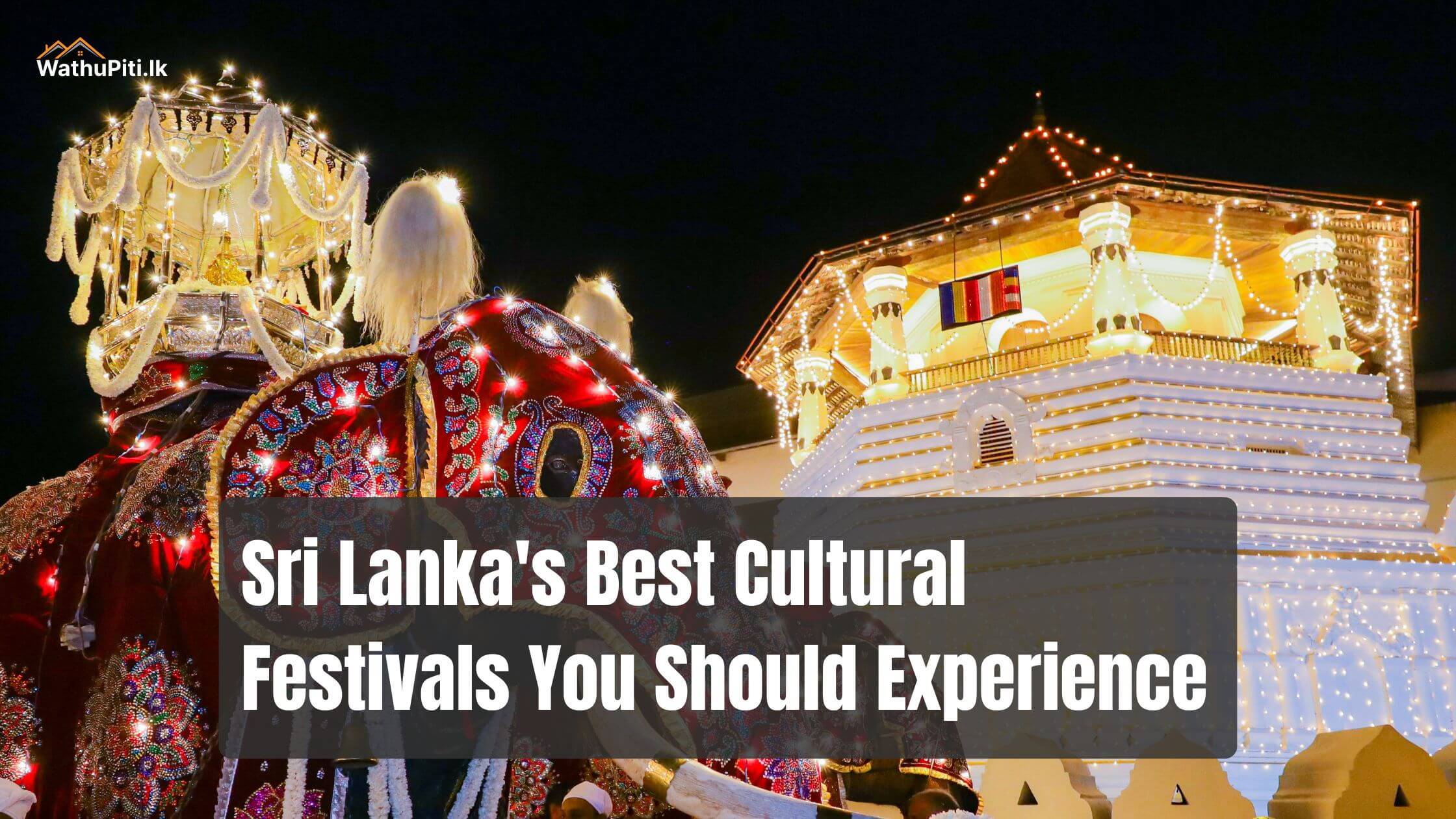 Sri Lanka's Best Cultural Festivals You Should Experience | WathuPiti.lk