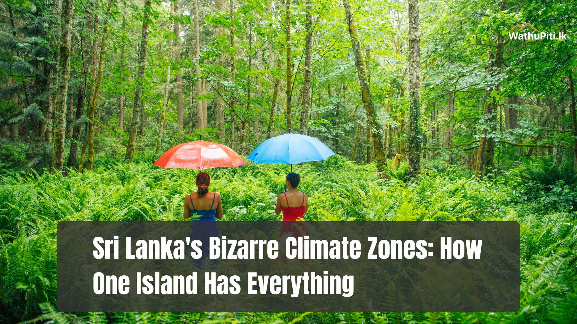 Sri Lanka’s Bizarre Climate Zones: How One Island Has Everything