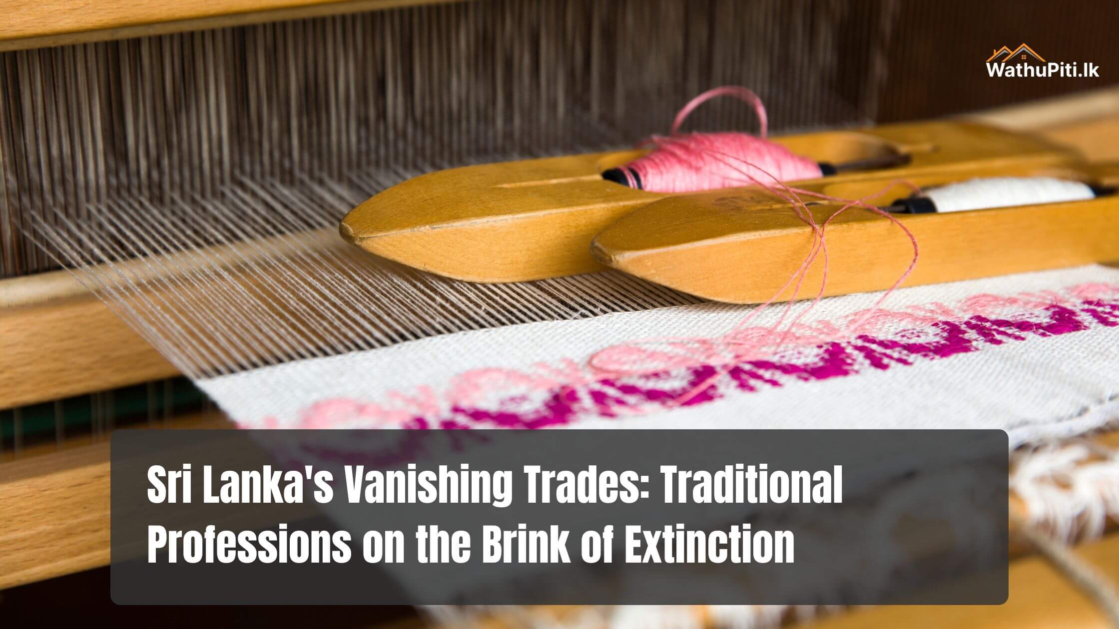 Sri Lanka’s Vanishing Trades: Traditional Professions on the Brink of Extinction